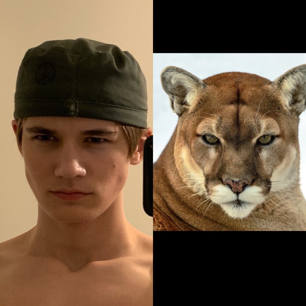 8CC691DE 1880 4416 97C4 8D3936C26744