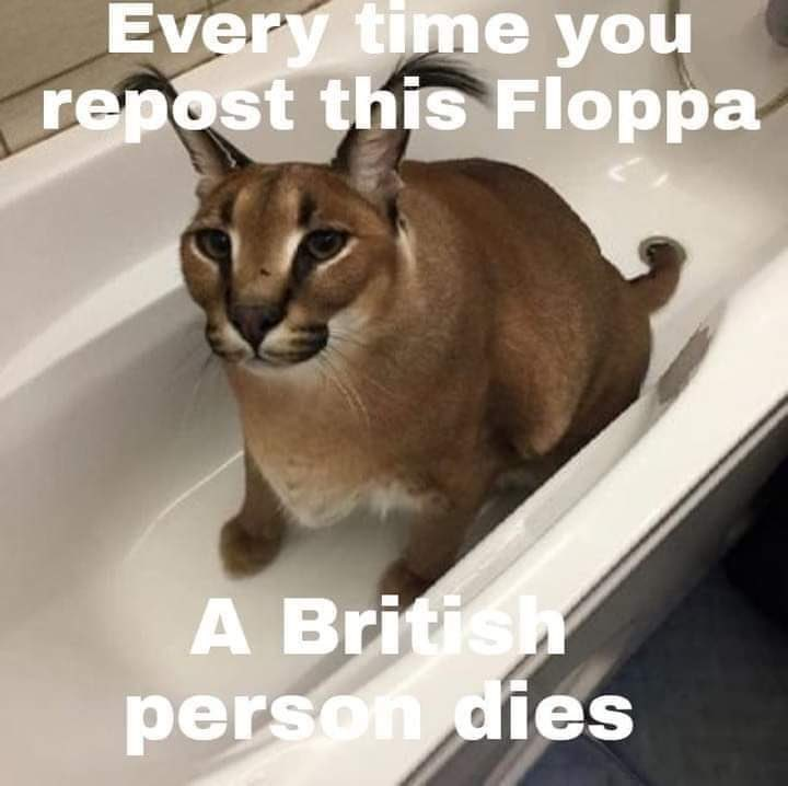 1609808186151