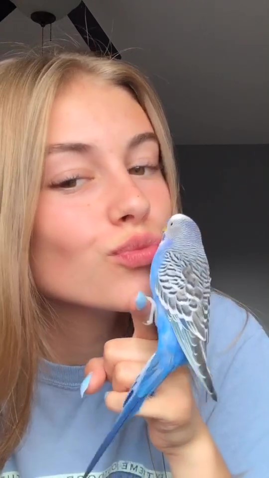 Imaginebeingthebird