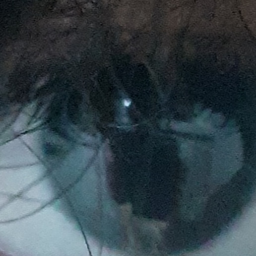 IMG 20210106 213935 550