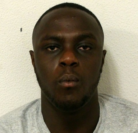 Sei 54787936 2197 e1551457088128