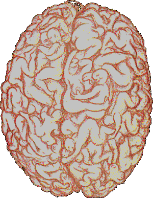584538593d5e8209dfe35066dc5d0640551538e3335f4a4ed5efffd22fc3f9dc