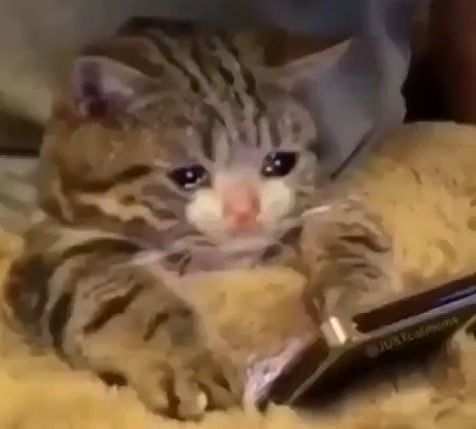 1610318231096