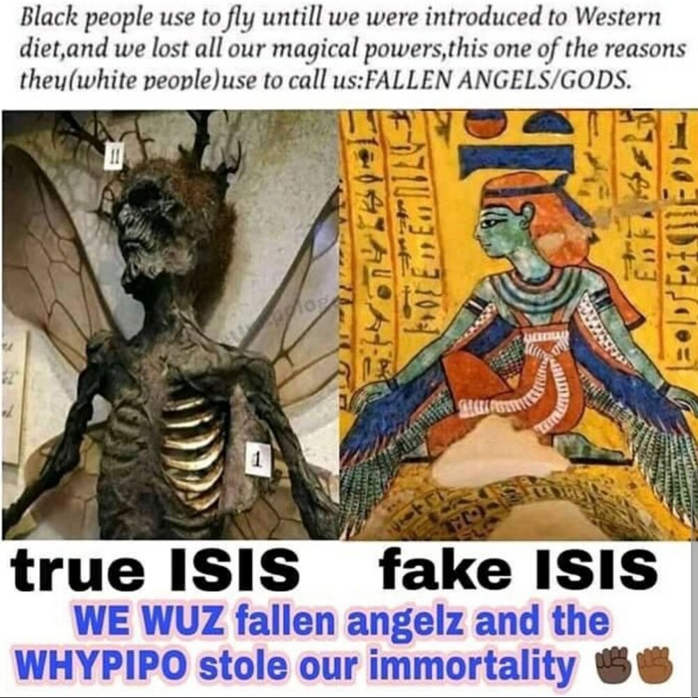 SmartSelect 20210110 195018 Instagram