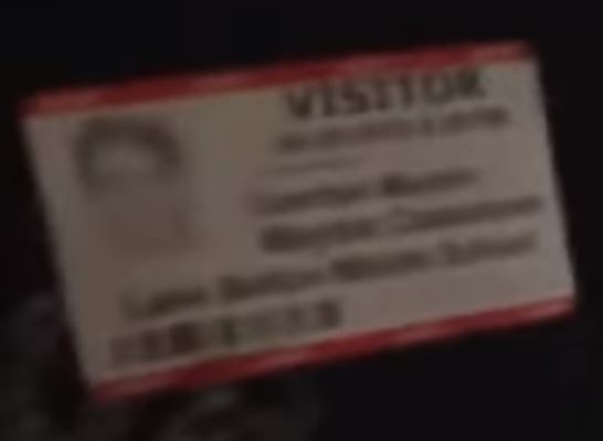 Visitor
