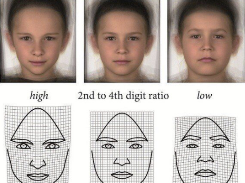 D355B618 D101 40D6 AB99 ECF37E2FB20C