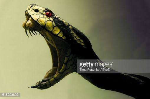 F8369BAA 4ADF 48D7 B14A DF4BE8AC20D5