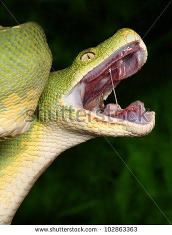 87D44CCE A291 4818 98D9 07CFF17EA77D