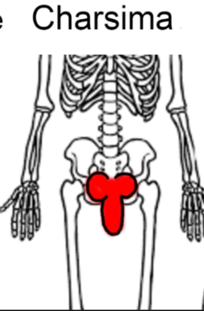 475457457754467 Lite