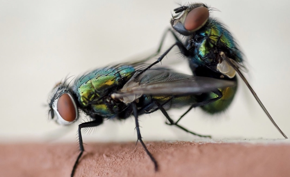 3D82E368 D5AA 4FB5 A8F0 0F93FB2A74DC