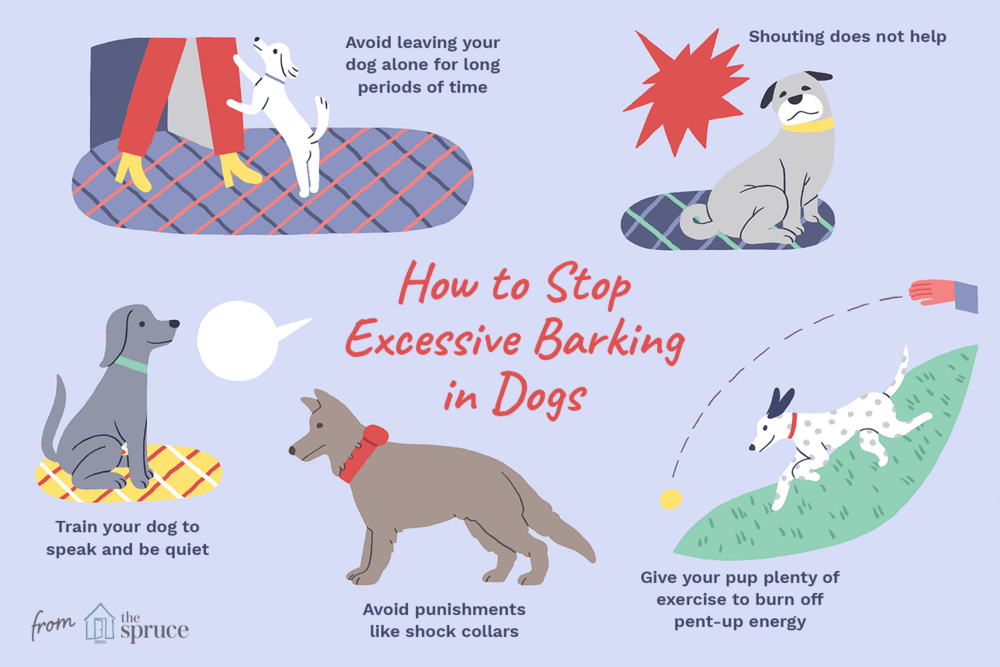 Stop your dog from barking 3877988 FINAL 5c8a554346e0fb0001cbf62c