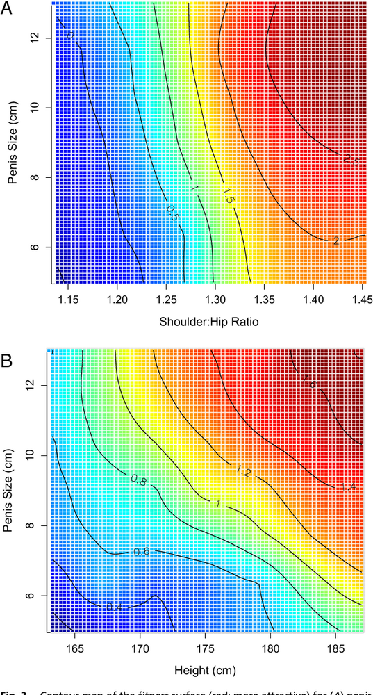 3 Figure3 1   AVERAGE shoulders Hip ratio and P and height