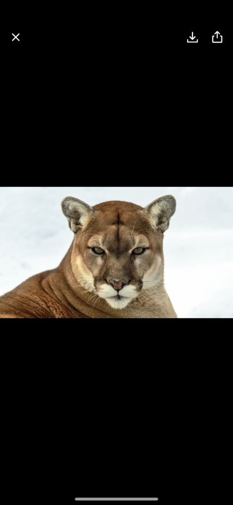 864913F6 A8FC 4471 BB4E 5C1F7C6A8843