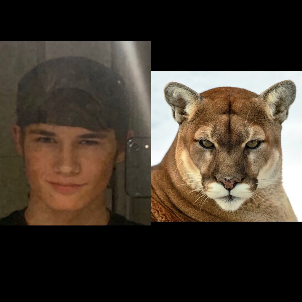 9C7EF93B 21FE 4AF5 BE77 ECC66B64692A