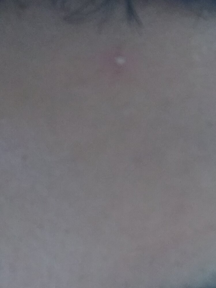 IMG 20210117 101059