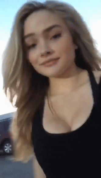 DapperOrnateHousefly size restricted