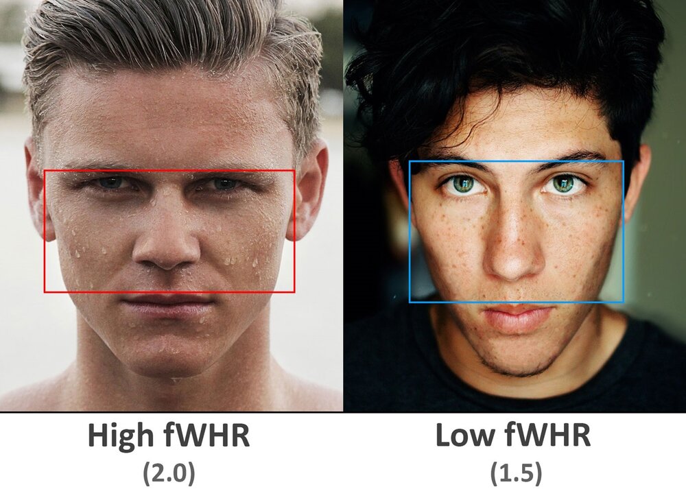 Fwhr examples