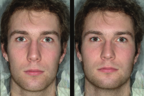 Examples of transformed images used as stimuli in Experiment 3 The image on the right