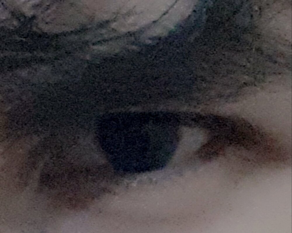 20210118 122535