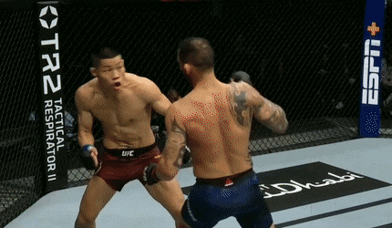 KlutzyRespectfulDonkey size restricted