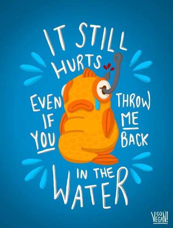 8DE26A6E 0829 40AB A4D9 F7094FAFEB1D