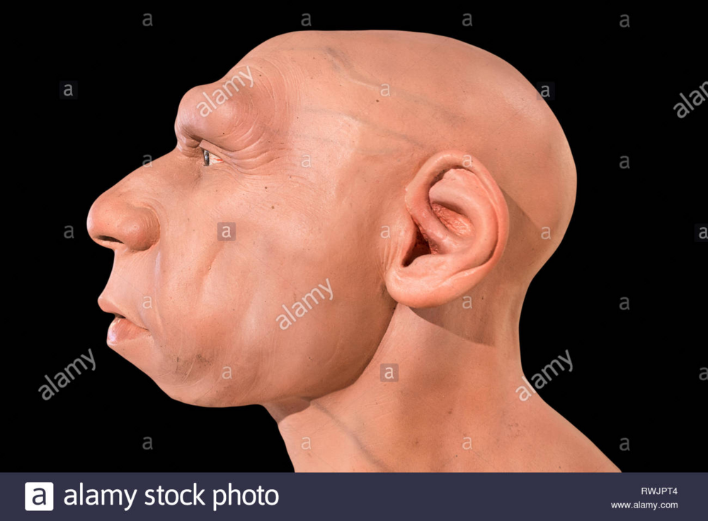 1611060039267