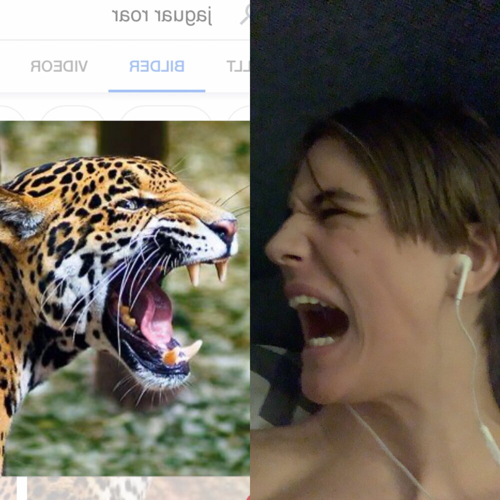 E2885020 5B86 416B B97F 4387CDD1E09A