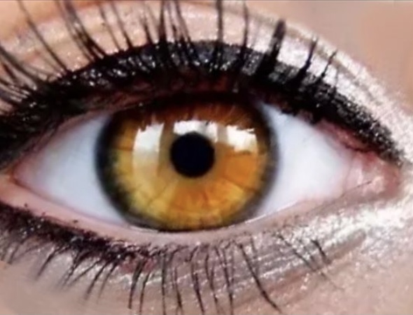 268846FE 4C1E 4AD0 BE3C 54E4EB128633