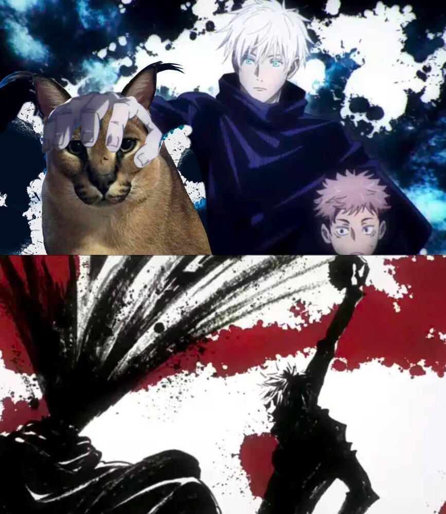 133994355 125967952672937 1986219032638123350 o