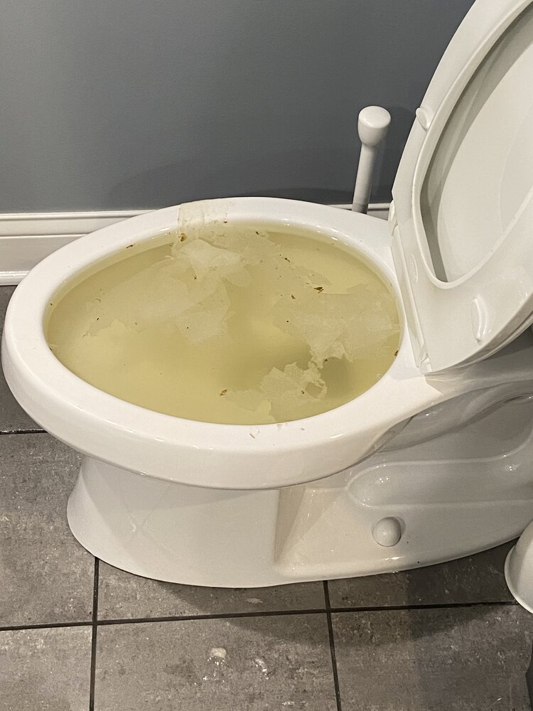 EEC78B38 3A64 4FC3 90BD F1B6EFA0D8C5