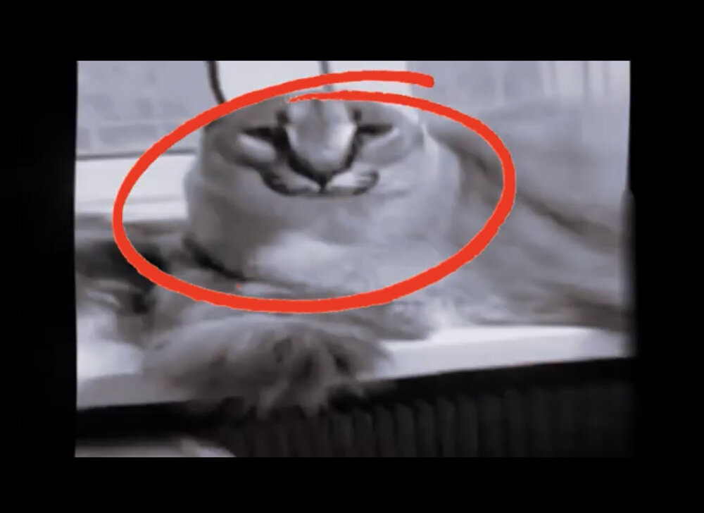 A63BC2DE 6524 4C44 AB3E A9A0F50B5E40