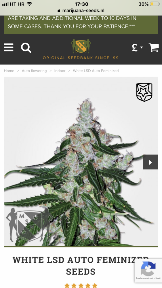 147039E1 861A 42A0 8D8E A94078347330