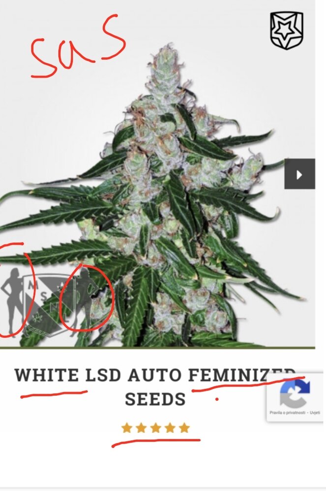 Screenshot 20210121 151725 DuckDuckGo