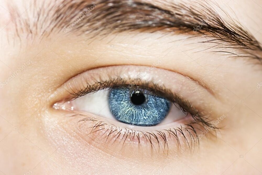 Depositphotos 91345310 stock photo insightful look a beautiful blue