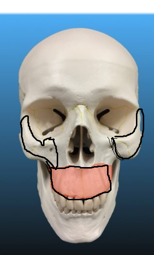 1611337863676