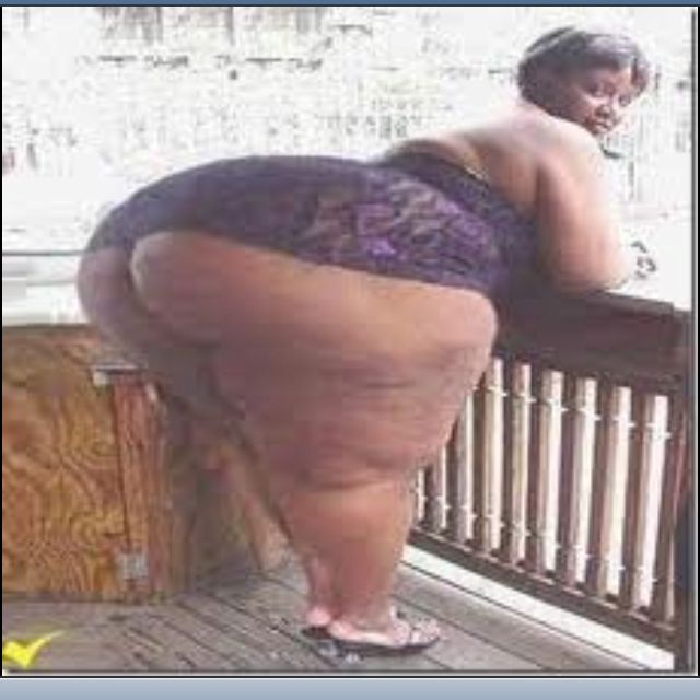 Fd07fb0b4239a3210e000ae0a43da70b 1