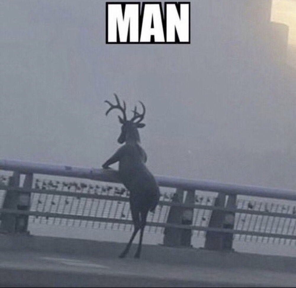 4565F2C5 1B07 4027 BA7B 9DCF88B51AFF