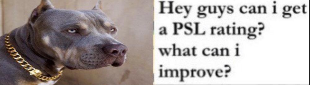 Bildschirmfoto 2021 01 25 um 163851