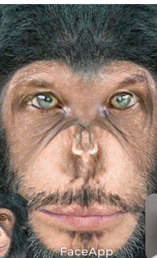 Screenshot 20210125 2239292