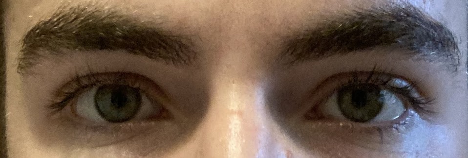 IMG 0308