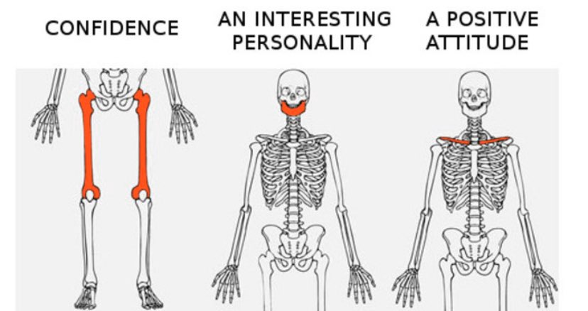 DE0BF7F2 E732 46FD B7F5 CE95D6368748