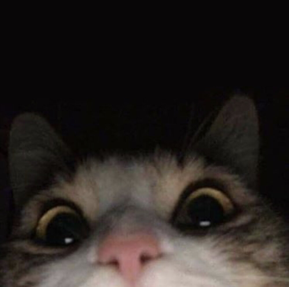 A81FCF67 164F 4CF1 8D28 399A93B28D1E