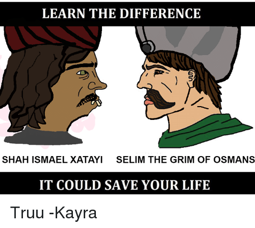 Learn the difference shah ismael xatayi selim the grim of 9745440