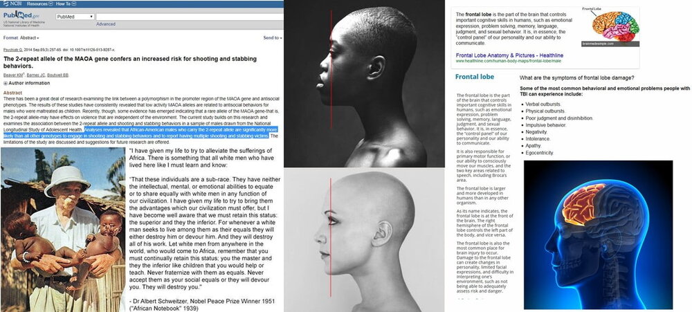 436c4d43426e5a57567a6b3d mZRCuSBDUAiMnIlqj4xHZLrnELE48AEN