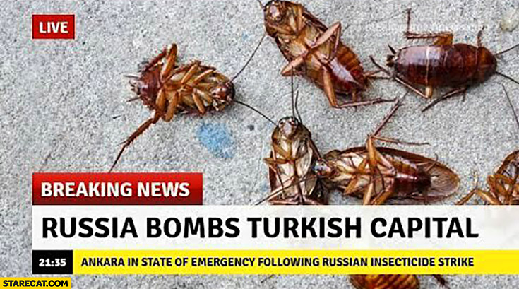 Breaking news russia bombs turkish capital cockroaches
