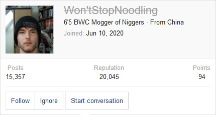 Screenshot 2021 01 29 EVISCERATION OF THE BLOATED TRANNY LOVER WONTSTOPNOODLING CONFIRMED ALT