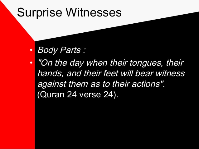 Events of the day of judgment 14 638