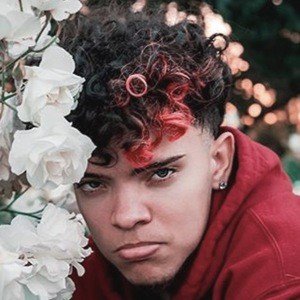 Lil xxel 1