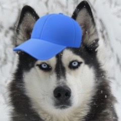 Caphusky