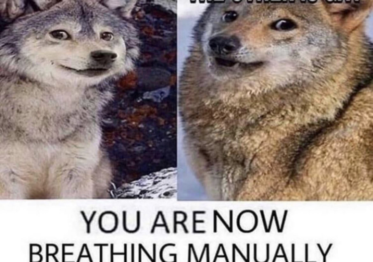 20060E85 9A49 4B5F 9AE0 6FB913DDBED4